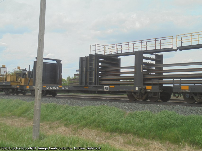 CP 420229 2